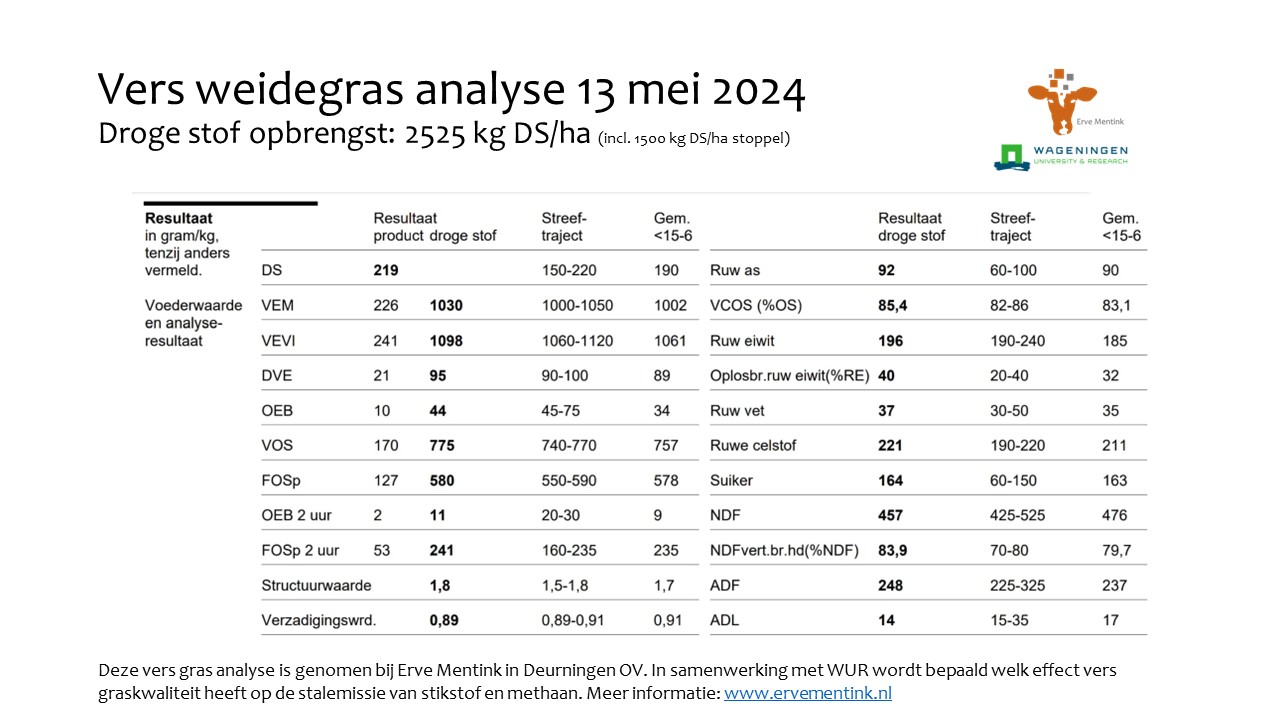 1cbda5f0-1952-11ef-99d6-4de34059d234-vers-weidegras-20240513.jpg